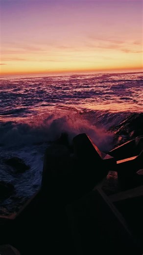 Anja Groenewald (@anja__g)’s videos with Never Let Me Go - Florence The Machine