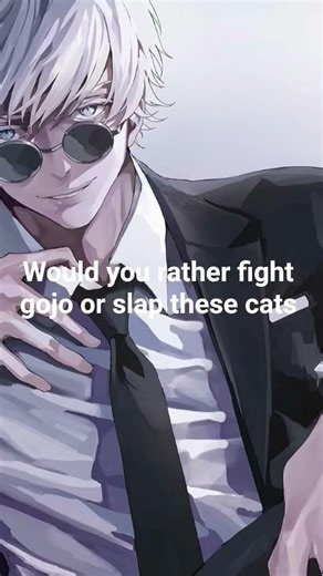 would you rather fight gojo or slap these cats😺