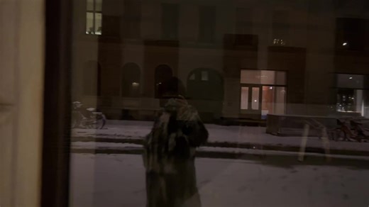 Ice cold and frosty Copenhagen. Feels kinda lonely but also very beautiful🌨️ #copenhagen #thelakes #snow #icecold