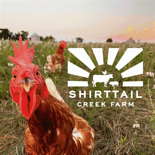 The meat lovers' game changer: Our grass fed beef is raised with care, while our pastured eggs are laid by happy hens. Taste the difference nature makes. | Shirttail Creek Farm