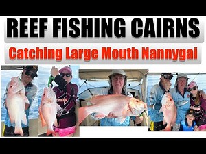 Reef Fishing Cairns 31-10 - 25