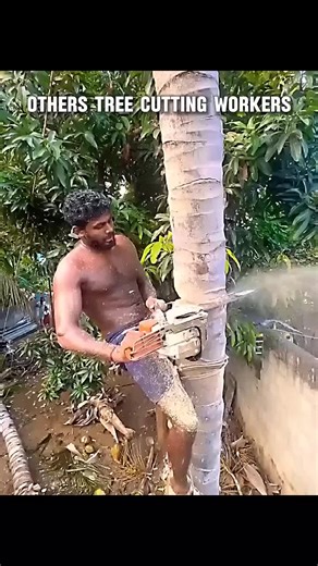 LIVE Incentive Program for LIVE FEST 2026