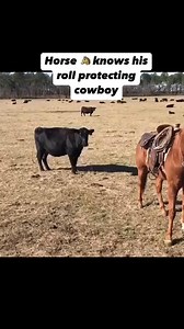 Job well done 👏 🇺🇸 🇺🇸 🇺🇸“COUNTRY STRONG”. #cowboy #cowgirl #country #western #rodeo #weareamericancowboy #countrystrong | American Cowboy