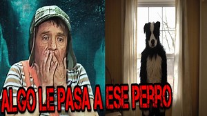 🔴🔻Creepypasta chavo del 8 algo le ocurre al perro de quico es un skynwaker Era una mañana algo tranquila, Yo, Chavo, estaba soñando que me comía una torta de jamón, Era lo mejor que me podía suceder, cuando de repente alguien golpeó mi barril con fuerza y gritó, Chavito, Estás ahí, Ese grito me hizo despertar de golpe y me puso de mal humor, Salí del barril frotándome los ojos y vi que era Quico, Oye, Quico, Por qué gritas así, Chavito, mira lo que me compró mi mamá, A su lado, había un perro 