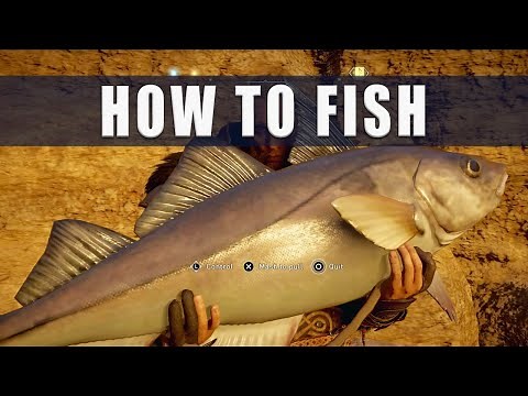Assassin's Creed Valhalla how to fish
