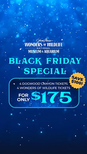 Our biggest Black Friday offer is coming! For only $175, unwrap an adventure package including: • 4 tickets to Johnny Morris' Wonders of Wildlife National Museum & Aquarium • 4 tickets to Dogwood Canyon Nature Park • A $275 value - save over $100! • Perfect for family outings or holiday gifting Exclusive Black Friday offer. Available only on November 28th - in-store and online. | Wonders of Wildlife