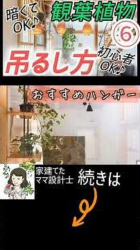 How to Hang Houseplants | How to Hang Plants and How to Choose Hardware (Fake Plants are OK) ⑥