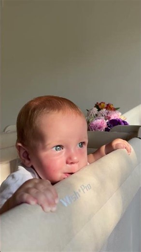 More Than Just a Baby Crib | BeBeBus Wish+