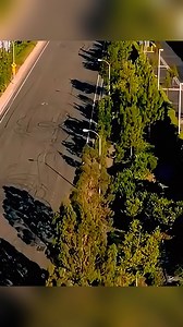 Documental Paul Walker | Performance Customs