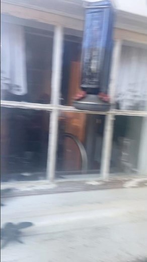 elmo world cameras thing