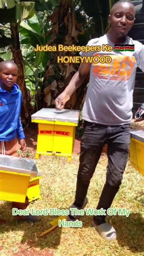 Becoming an International Beekeeper: A Prayer for Guidance