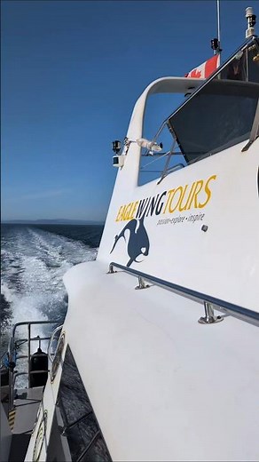 Whale Watching Tour with Eagle Wing Tours in Victoria, BC.