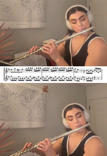 A clip from one of my favorite duets ✨ Mvt II of Sonata for Two Flutes in e minor by Schultze #flute #fluteplayer #classicalmusic #flutetok #musician