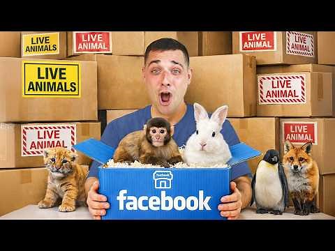 I Bought Mystery Animals on Facebook Marketplace...