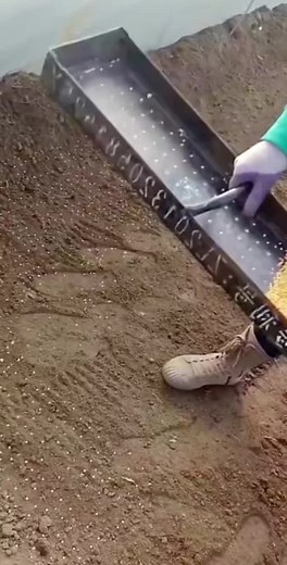 Easy Seed Planting Techniques for Efficient Gardening