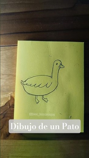 Cómo Dibujar un Pato 🦆 Paso a Paso ✨