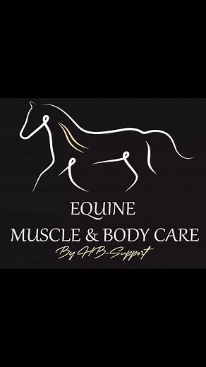 2 livsnydere, Tego og Depree i behandling med elektroterapi ⚡️ Målet er at stimulere musklerne, fremme blodgennemstrømningen og understøtte restitutionen. En skånsom og effektiv metode til at holde hestene smidige og i topform. #elektroterapi #hestebehandling #equinetherapy #equinemusclebodycare | Henrik Bager