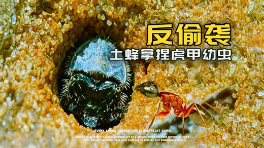 毫米级战场上: 演绎微观版《孙子兵法》