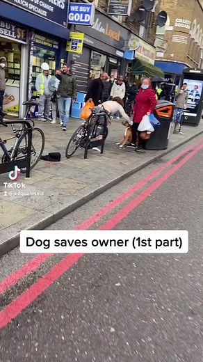 Thank you for saving this dog.. 💔 #dog #dogrescue #animalrescue #doglife #puppy #dogs #dogsofinstagram #storytime #foryou #viral | Saving Shelter Dogs from Euthanasia