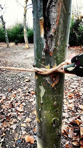 Earthy & Unyielding! 🧶🌳 The 5-Second Non-Slip Anchor for Natural Rope