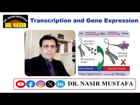 🎓 Transcription & Gene Expression | Molecular Biology Lecture