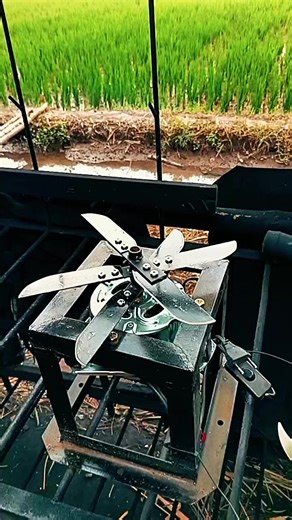 1set mesin coper pencacah pakan ternak #pencacahrumput #mesincoper #mesinpencacahsayuran #campuranpakan #creatorsearchinsights
