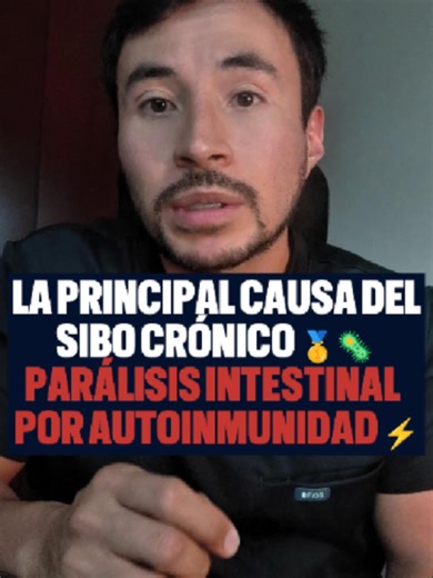 SIBO crónico: autoinmunidad y procinéticos indispensables
