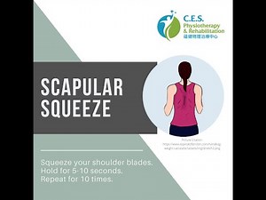 Progression: Rowing with Resistance Bands | Best Resistance Band Row Exercise | C.E.S Physio & Rehab