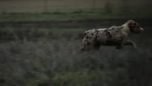 47K views · 3K reactions | Tomorrow 2/10 #MoreLife  how to watch on Circle All Access : https://www.circleallaccess.com/watch-circle/ | Randy Travis | Facebook