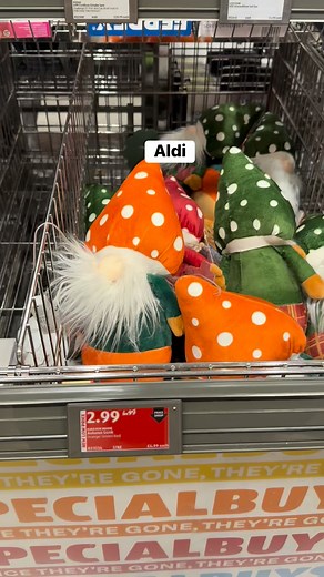 Aldi | Shopping in UK
