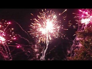 Dogs world 100s firework