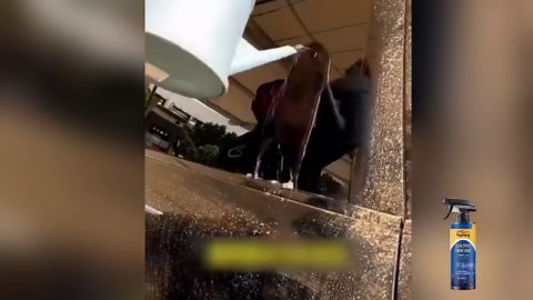 Ray Hong Spray Coating Agent, Multifunctional Advanced Car Quick-Acting Coating Agent Spray, Rayhong Quick Effect Coating Agent, Long-Lasting Protection Waterless Wash, Easy to Use(4pcs)