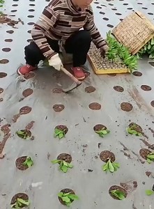 178K views · 453 reactions | Technology for life | Daily Dose of Humor | Facebook