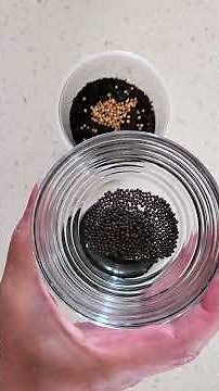 I Planted Mustard From My Spice Rack #garden #gardening #growyourownfood