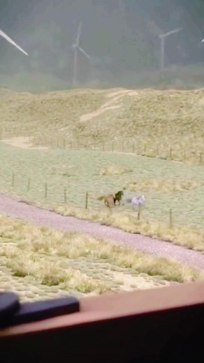 Dark No Sense no TikTok