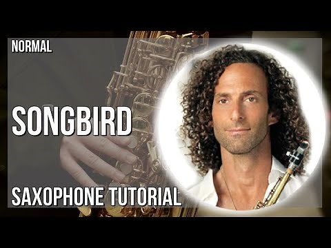 How to play Songbird by Kenny G on Alto Sax (Tutorial)
