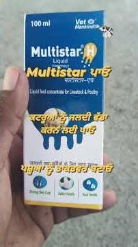 Multistar ਪਾਓ,ਪਸ਼ੂਆ ਨੂੰ ਤਾਕਤਵਰ ਬਣਾਓ