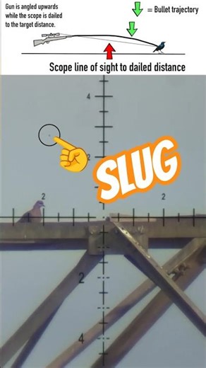 Slug trajectory as seen through the scope #fxairguns