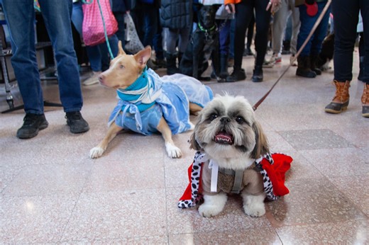 Freeloader Friday: 91 Free Things To Do This Weekend - Racket