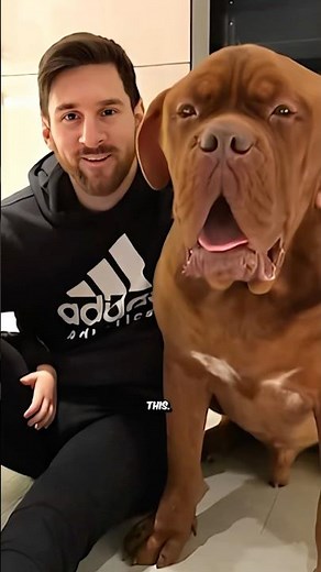 Why Messi Left His Dog Hulk in Barcelona: The Heartbreaking Truth