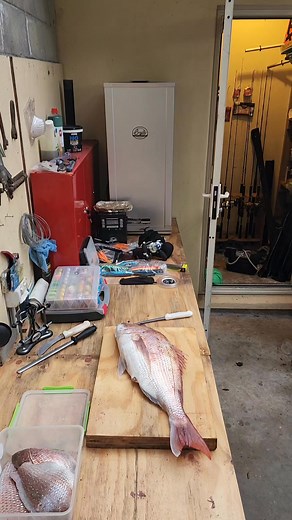 82K views · 258 reactions |  Dispatching a beautiful fat snapper and respecting it as a whole! Everything consumed!   Cheers Capt Nik #snapfishingventures #snapper #lurefishing #slowjigging #charter #guide #sealife #fishinglife | Snap Fishing Ventures | Facebook