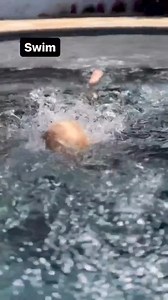 Swim, Float, FUN! Learn more about ISR lessons and how they can empower your child with not only the skills to survive, but the skills to have fun in the water! www.infantswim.com 🤩 | Infant Swimming Resource