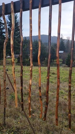 I have rounded off the tops of these broom sticks, drilled holes for the broom hanger and costed them to make them shiny. #wickedbrooms #handcraftedbrooms #flyingbroom #artisanbroommaker #witchy | Wicked Brooms