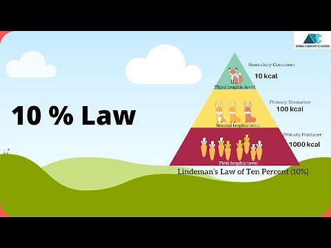 10 percent Law | Our environment | Class 10