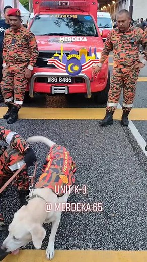 Taufiq Sparkz (@taufiq_sparkz)’s videos with original sound - Taufiq Sparkz