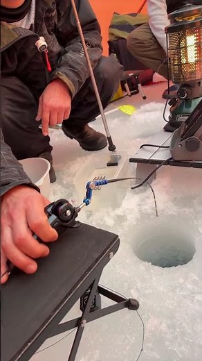 氷上ワカサギ釣り体験！1匹目の釣り上げの瞬間と釣り方アドバイス#shorts #原生林の熊工房#岩洞湖氷上ワカサギ釣り