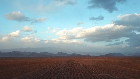 clip-3989014193-drone-flies-over-large-farming-field-rows