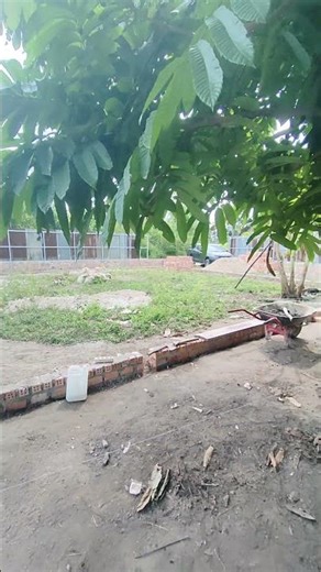 🦆 Dari Nol Jadi Kandang Bebek Modern!