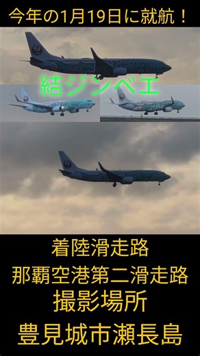 結ジンベエ#飛行機 #航空機 #日本トランスオーシャン航空 #着陸