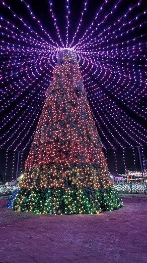 ✨ A little more sparkle every day… Christmas Town opens in 4 days. Rediscover the Christmas you remember. www.christmastown.net ✨ #BakersfieldChristmasTown #RediscoverTheChristmasYouRemember #ChristmasTown2025 BakersfieldEvents HolidayMagic FamilyTraditions | Bakersfield Christmas Town
